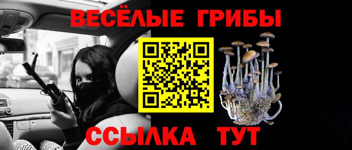 Псилоцибиновые грибы GOLDEN TEACHER Губкинский